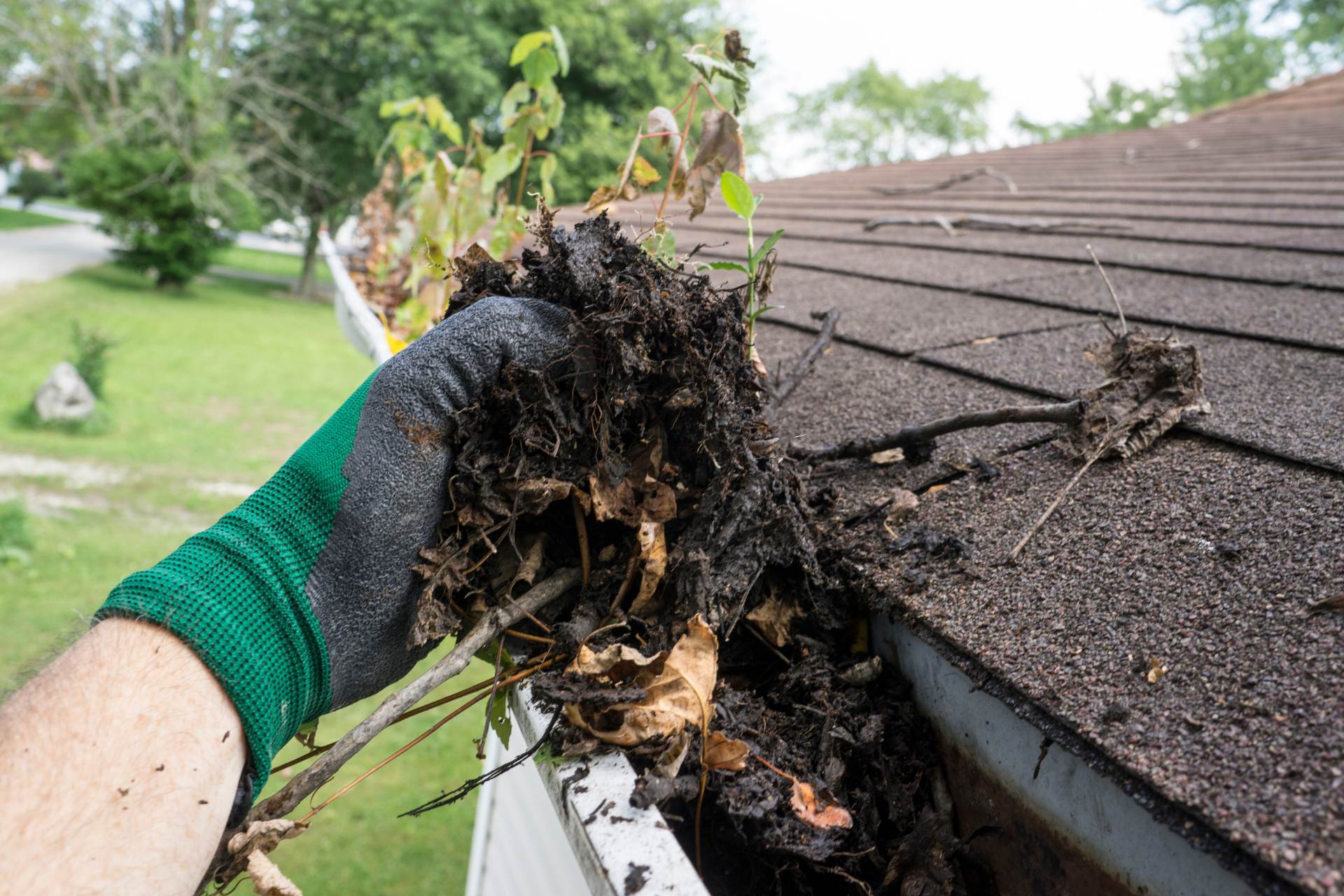 Gutter cleaning