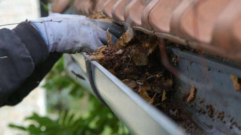 old leaves Gutter Cleaning full of leaves