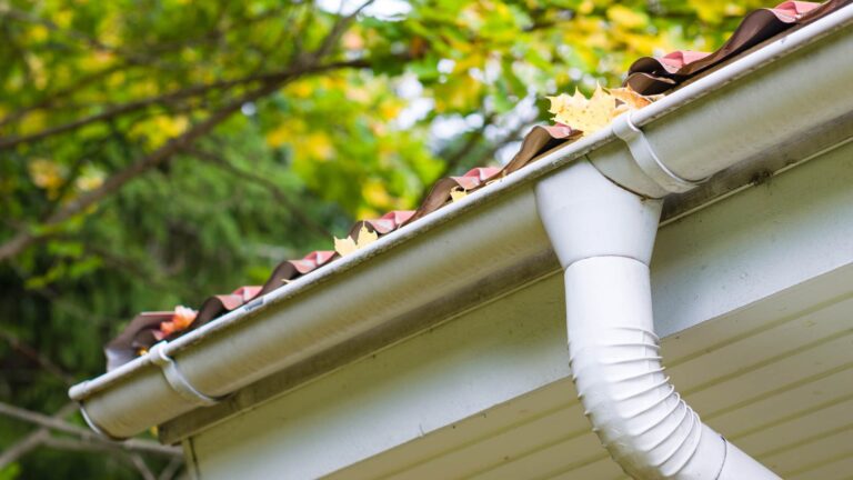 Gutter Cleaning full of leaves from below