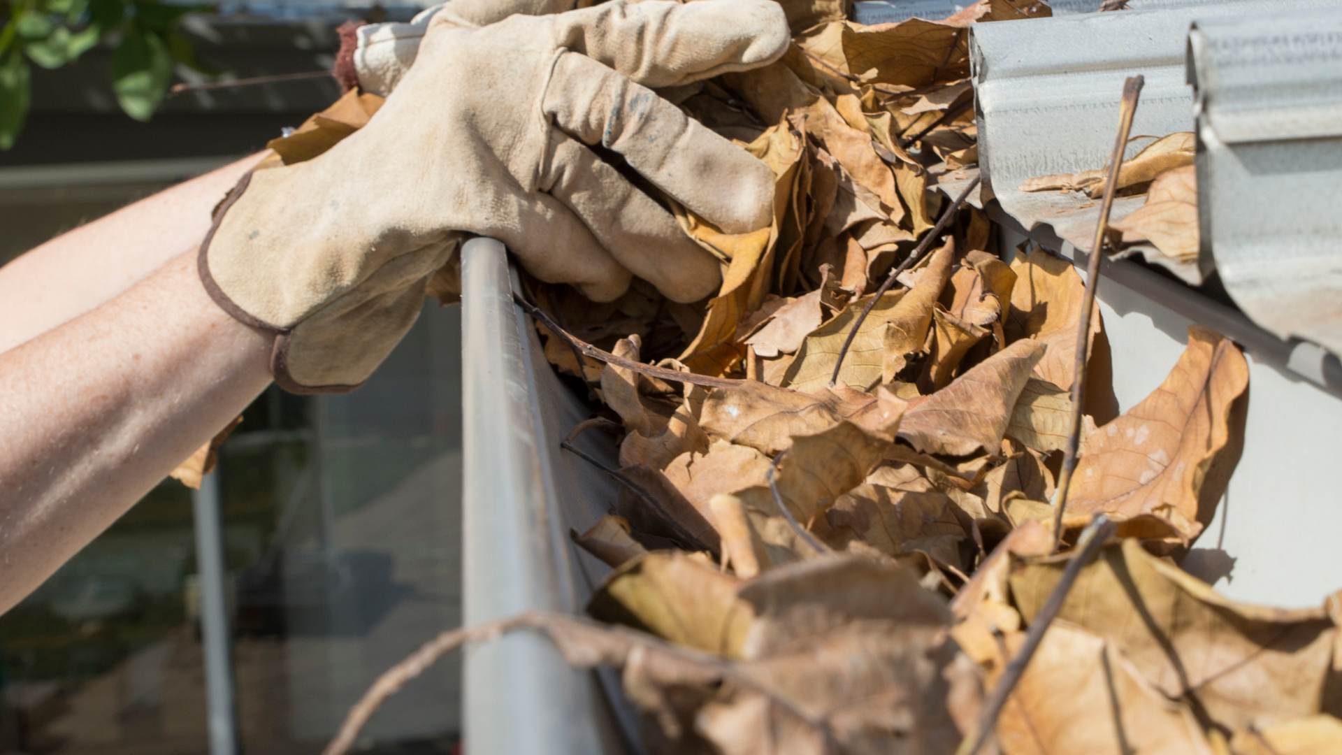 removing Gutter Cleaning full of leaves