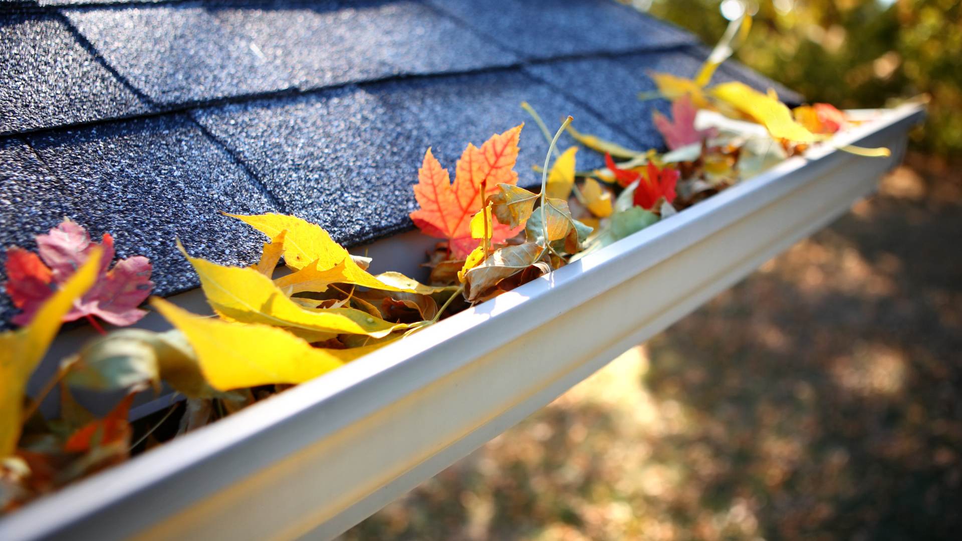 Gutter Cleaning close up